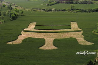 岐山麥田毛公鼎景觀 大地藝術(shù)的當(dāng)代呈現(xiàn)